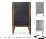CROCODILE CABINET 